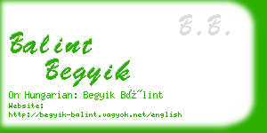 balint begyik business card